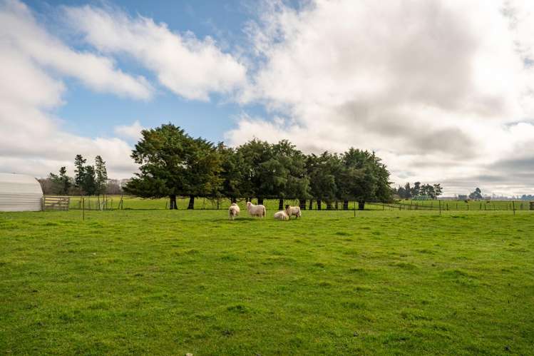 179 Temuka Orari Highway Temuka_22