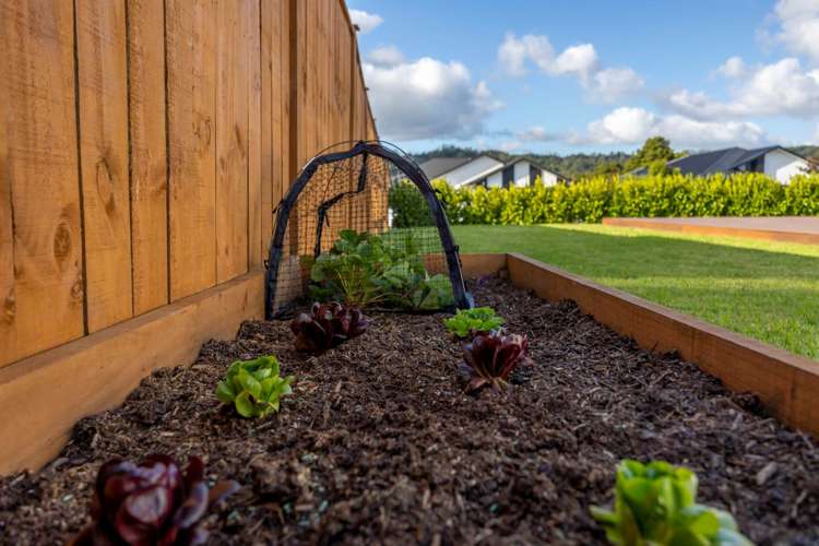 2 Fred White Drive Kumeu_39