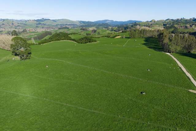 471 Poutakataka Road Ngakuru_1