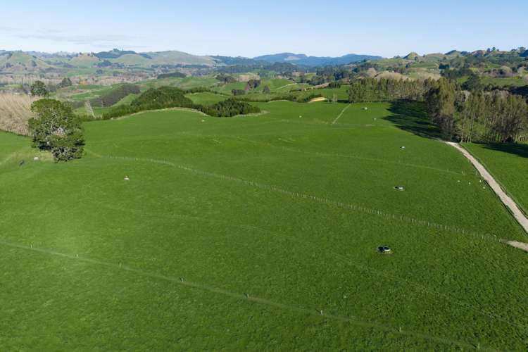 471 Poutakataka Road Ngakuru_1