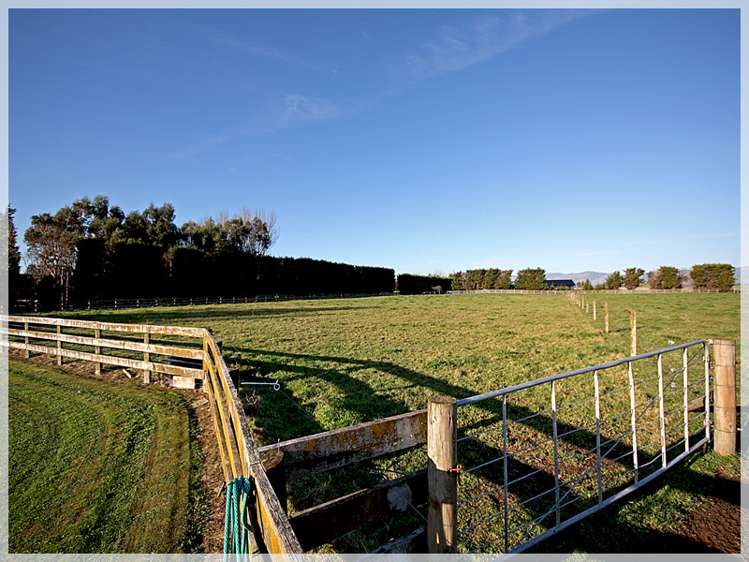 52 Hickford Road Foxton_6