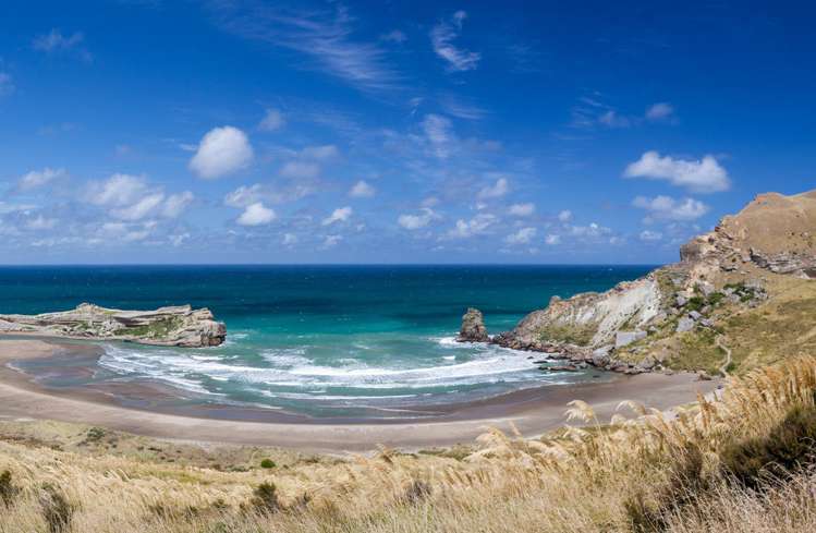 56 Balfour Crescent Castlepoint_1