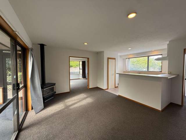 58 Ben Nevis Dr Broomfield_4