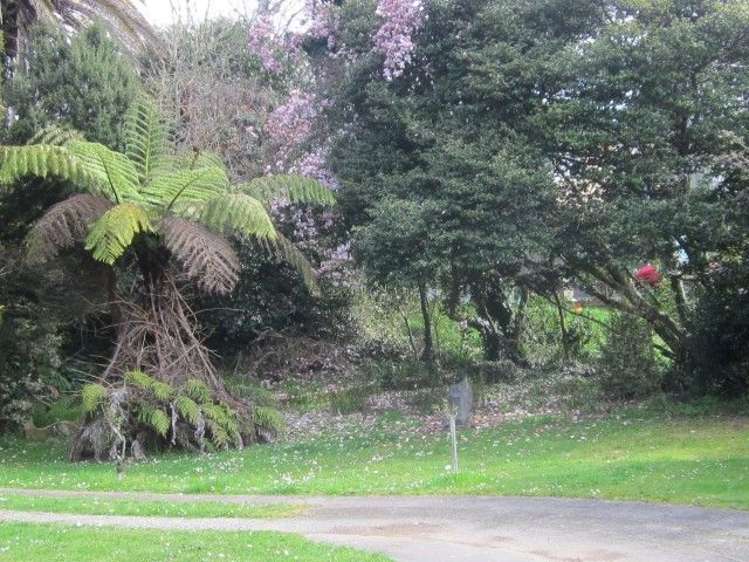 40 Kea Street Piopio_17