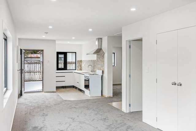 Birdwood Road Pukekohe_1