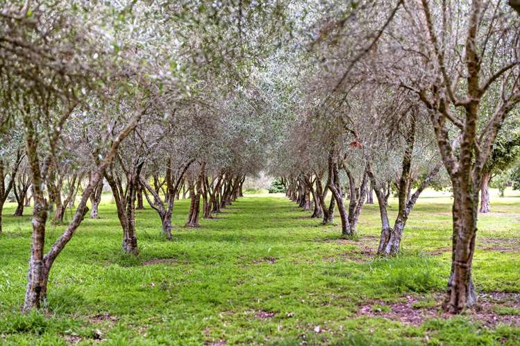 1001 Kahutara Road Kahutara_22