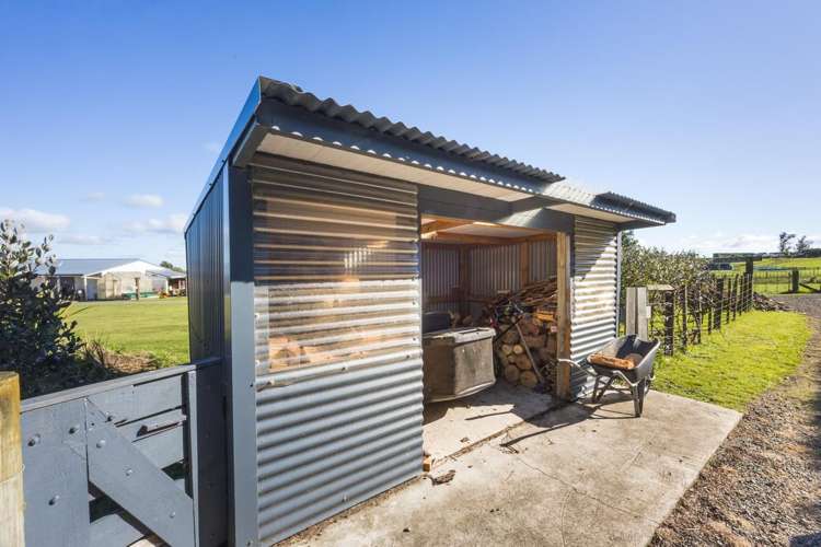 63 Sutherland Road Sanson_22