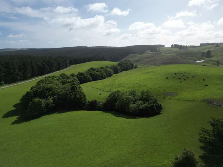 759 Waitahuna Gully Road Manuka Creek_18