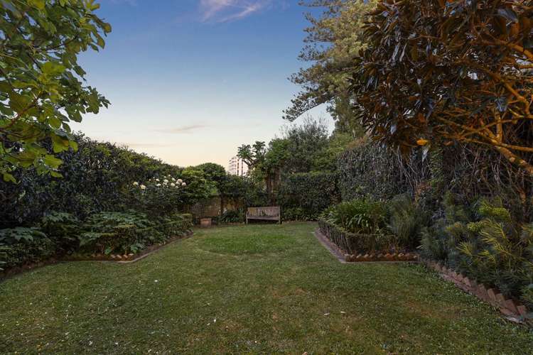 7 Dilworth Terrace Parnell_25