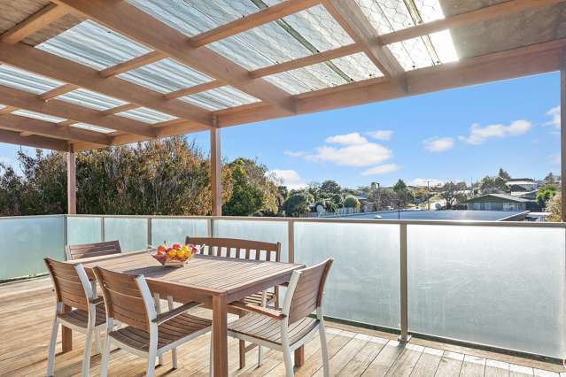 53 Young Street Morrinsville_3