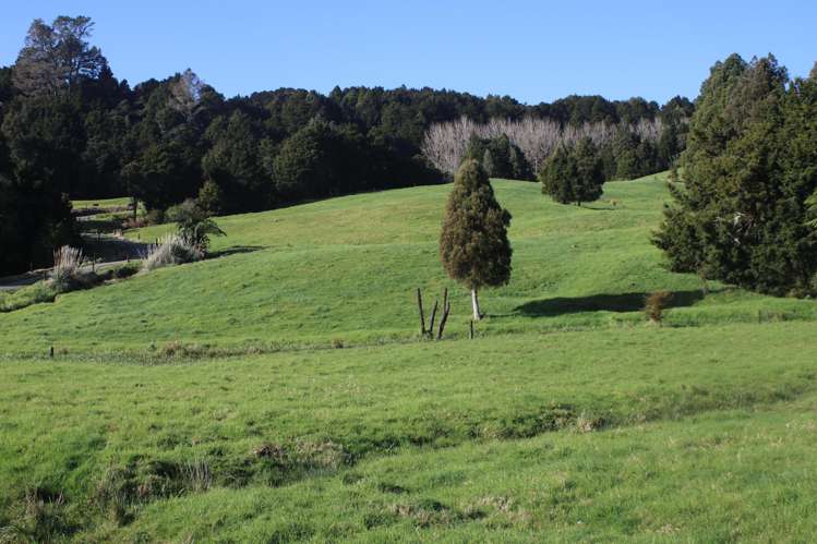 Lot 5 Pungaere Road Kerikeri_12