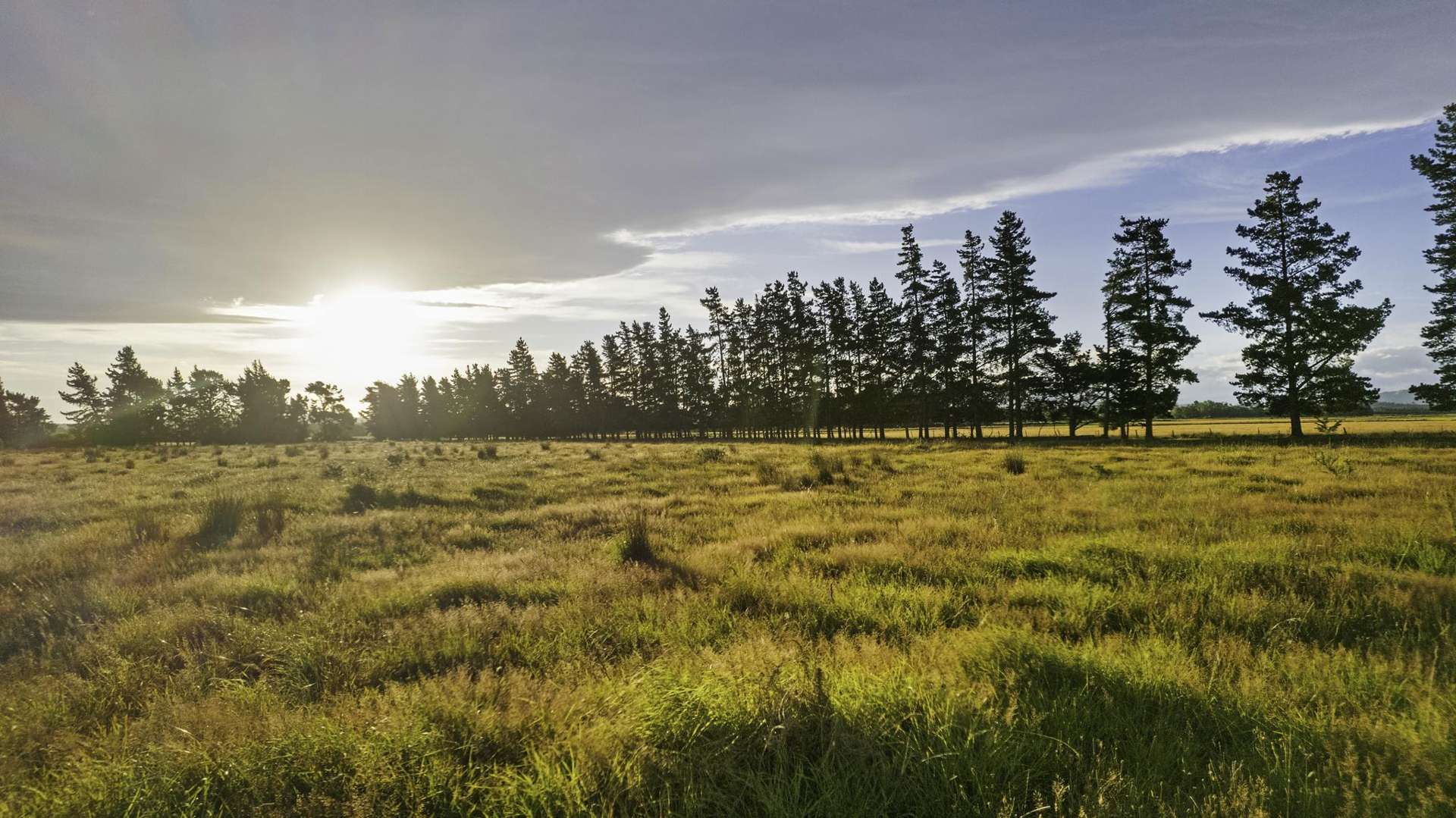 172 Stockdills Road Amberley_0