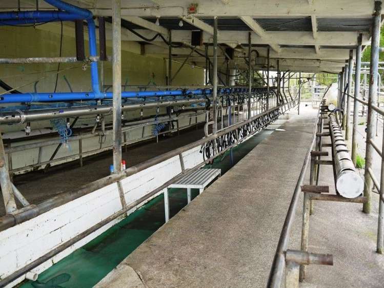 684 Trounson Park Road Dargaville Surrounds_6