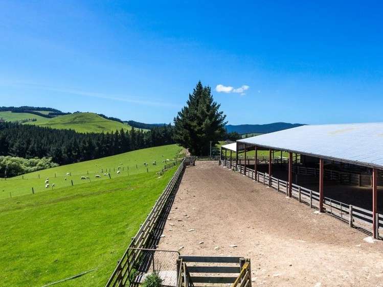 536 Circle Hill Road Milton_10