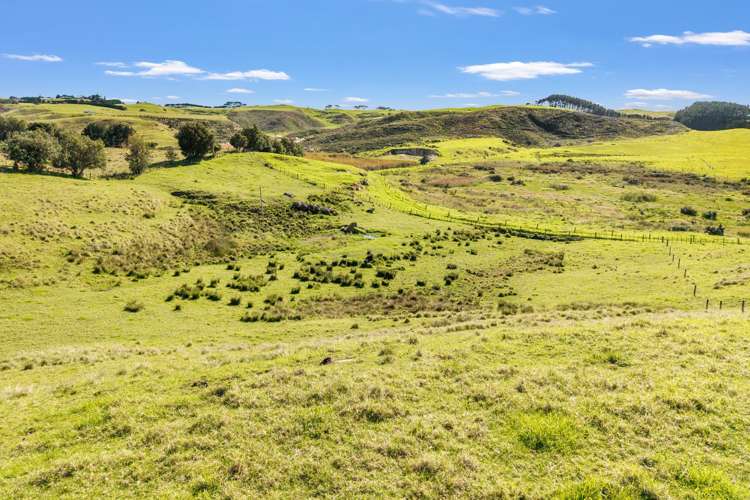 402 Baylys Coast Road Dargaville_8