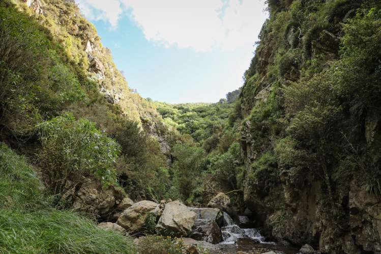 106 Harrison Hill Road Aokautere_8