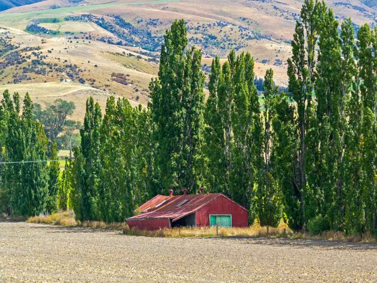 Ettrick Road Roxburgh_11