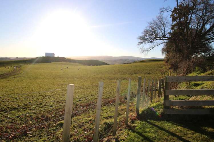 463 Papakai Road Taihape and Surrounds_12