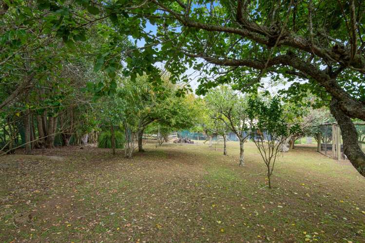 1688 South Head Road Helensville_43