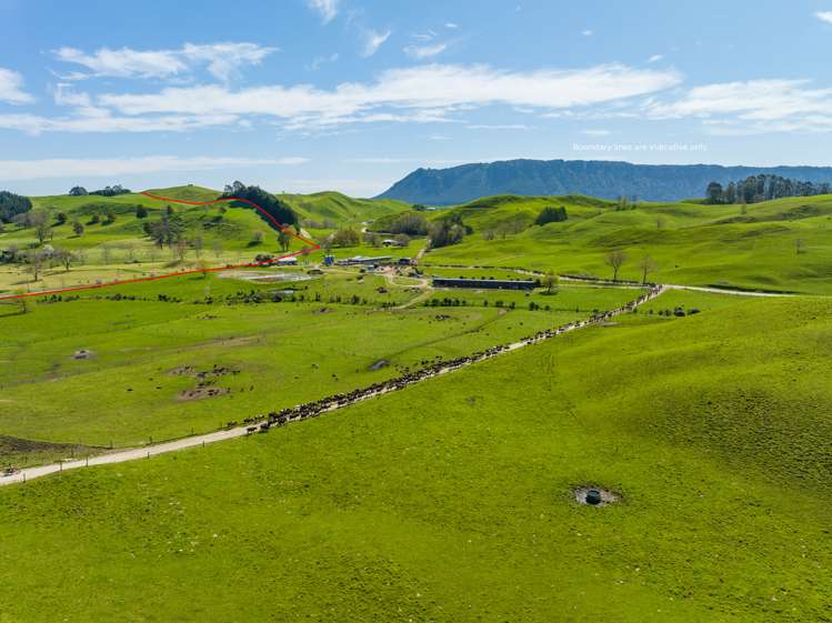 385 Whirinaki Valley Road Rotorua Surrounds_6