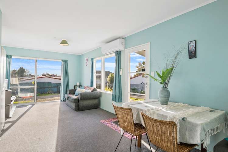 12b Vincent Drive Levin_2