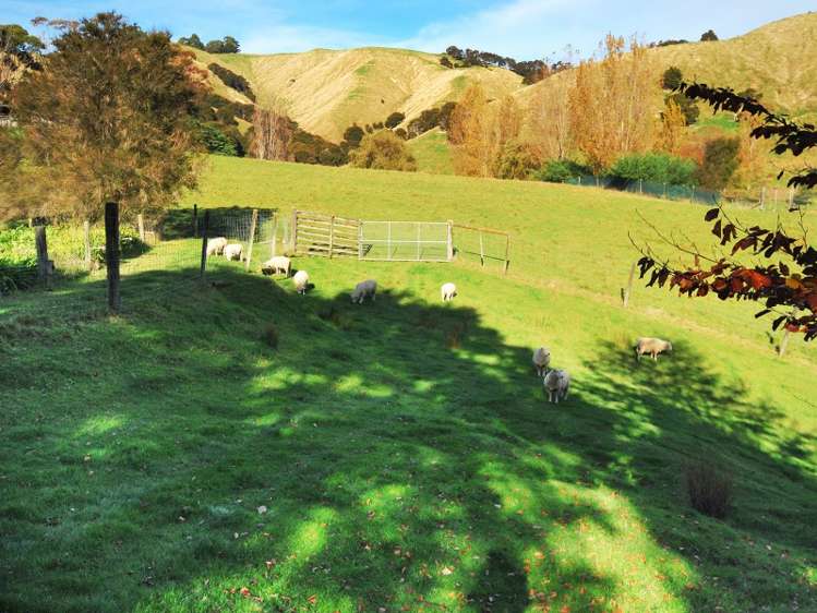 373 Lees Pakaraka Road Te Whiti_19