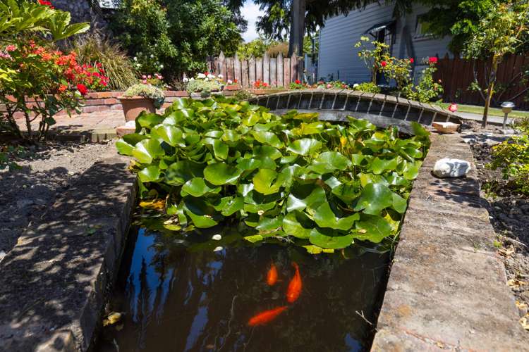 10a Mccallum Street Springlands_6