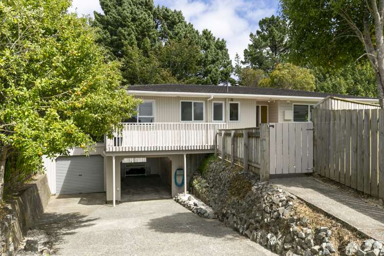 30 Lupin Terrace Tawa_17