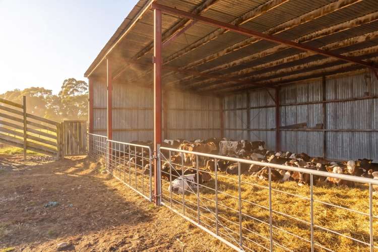 30 Dorset Road Carterton_5