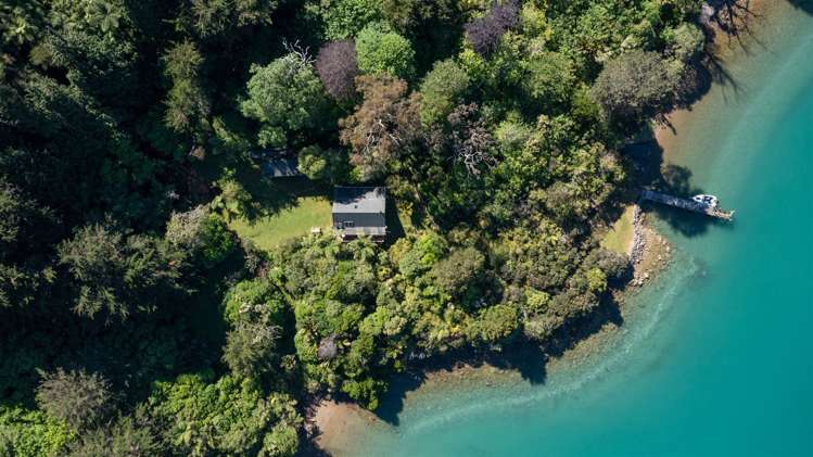 Little Nikau Bay Kenepuru Sound_6