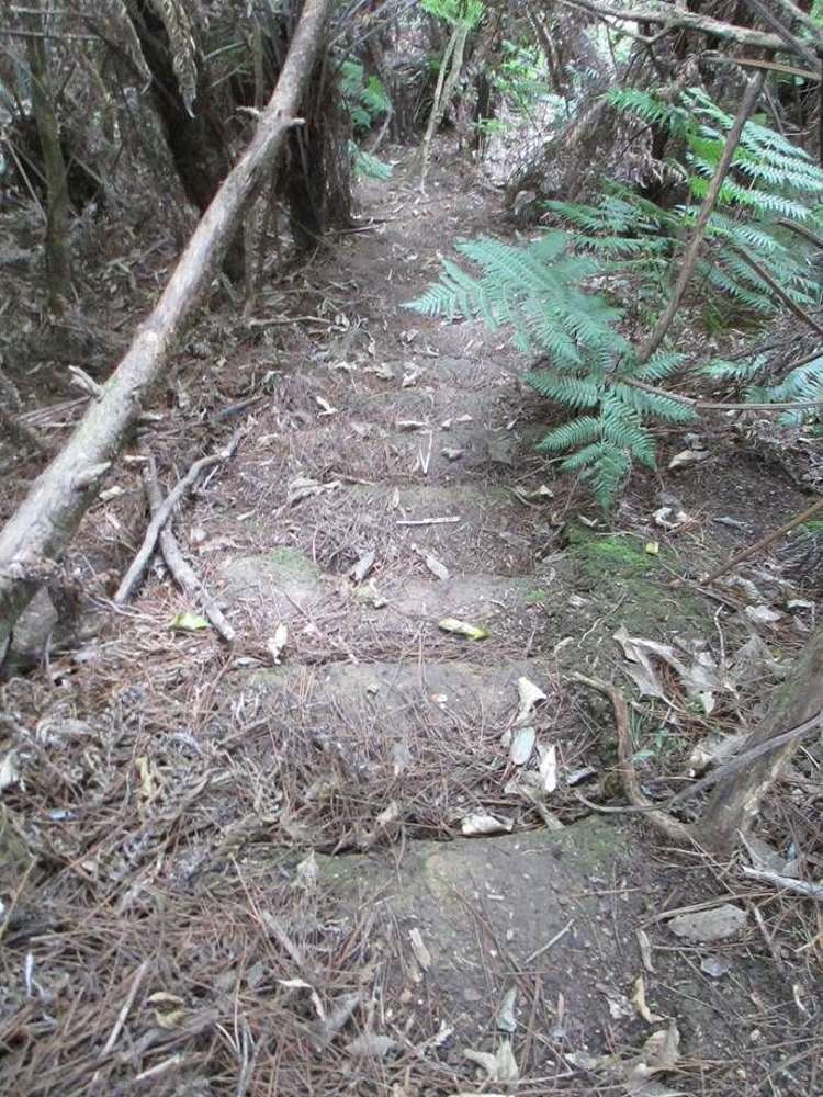 282 Lees Road Hahei_16