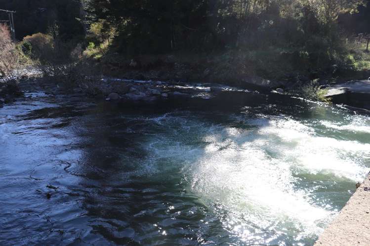 163 and 165 Tapu Coroglen Road Tapu_10