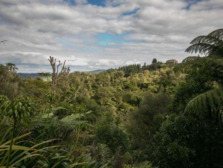 909 Te Anga Road Waitomo_6