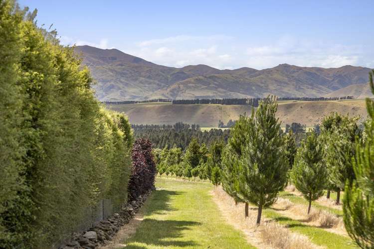 42D Gladsmuir Road Queensberry_8