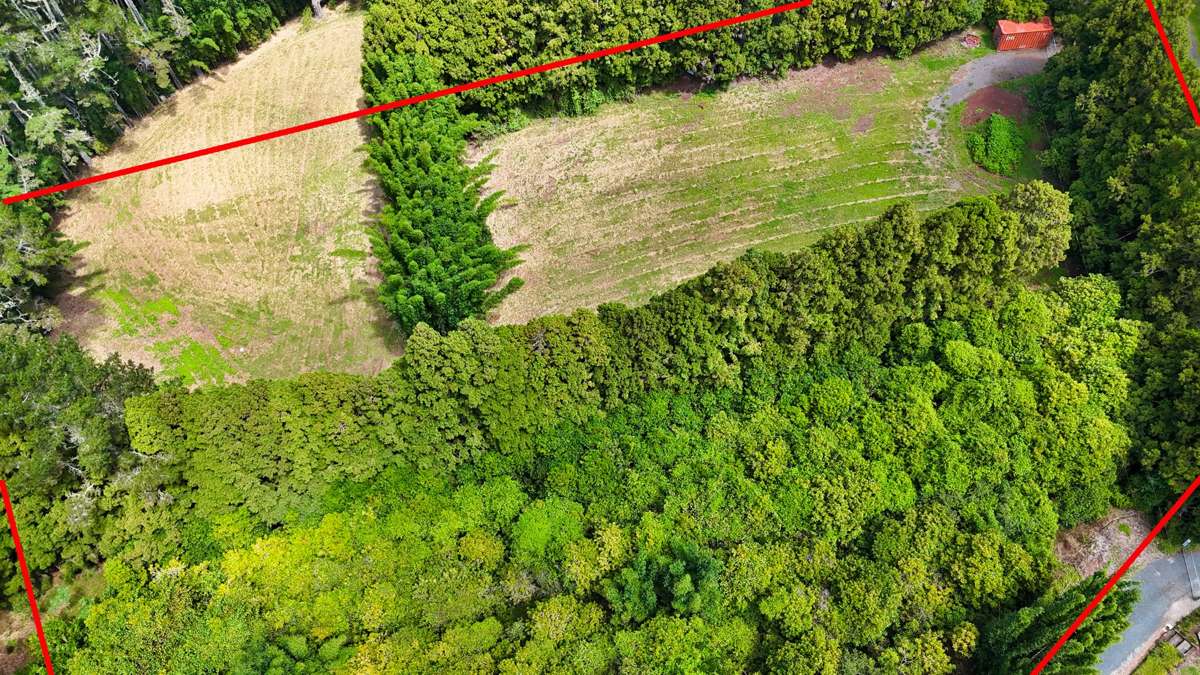 34 Cottle Hill Drive_4