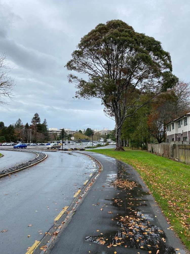 5D/9 Bleakley Place 1076_5