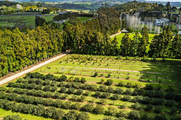 1244A State Highway 10 Kerikeri_9