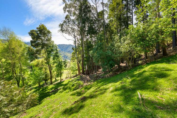 525 State Highway 1 Koromiko_24