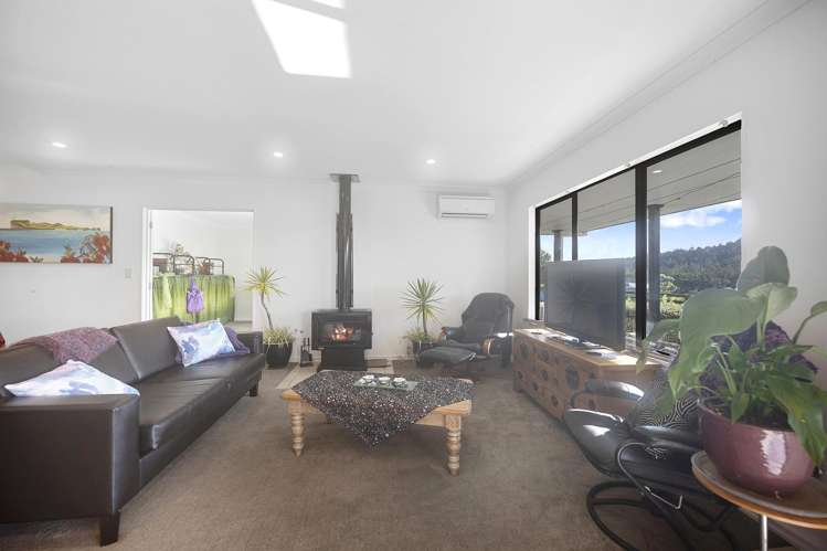 384 Pine Valley Road Dairy Flat_11