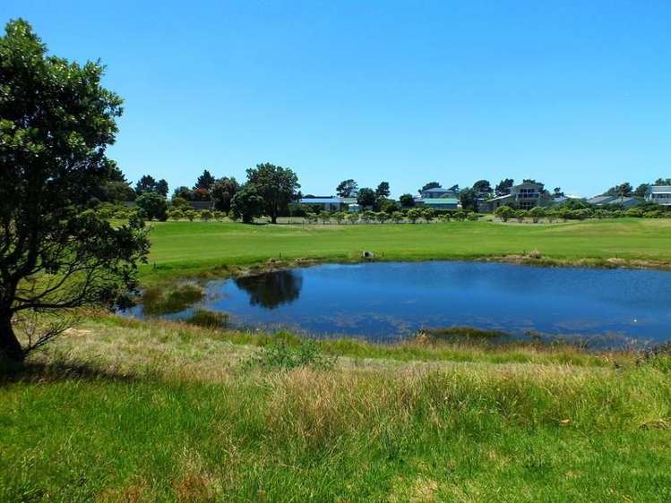 165 The Fairway Matarangi_5