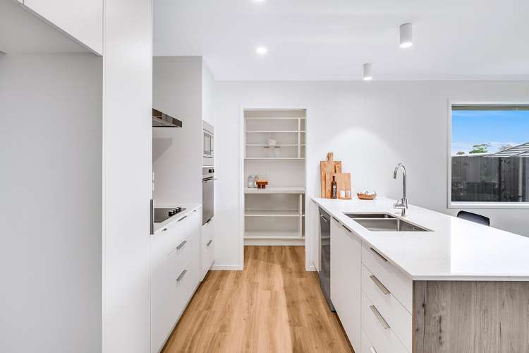 12 Crawford Lane Morrinsville_9