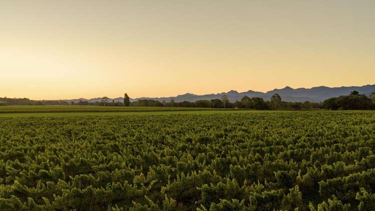 98 Godfrey Road Fairhall_30