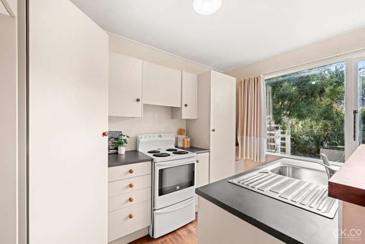 63f Black Beech Street Birchville_1