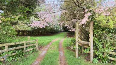 442 Te Waerenga Road_4