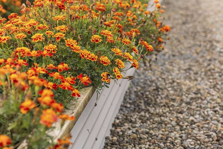 37 Upper Pitone Road Pitone_6