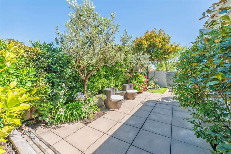 49 Coolspring Way Redwood_22