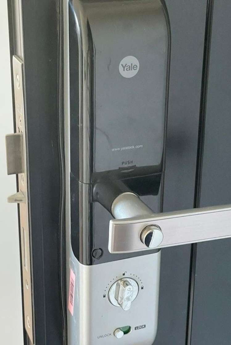 82F Ashby Avenue St Heliers_15