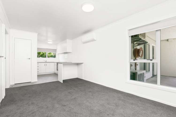 16 O'Neill Street Claudelands_13