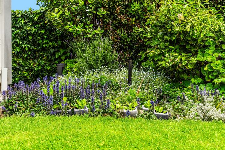 105 Brighton Road Parnell_16