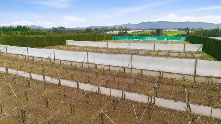 364 Te Matai Road Te Puke_8